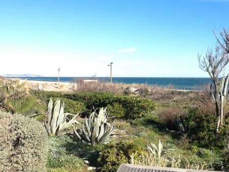 Jardin exotique face à la plage